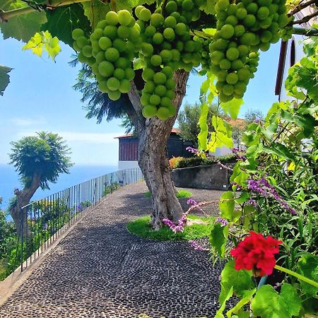 Villa Torre Bella Gardens Arco da Calheta  Exterior foto