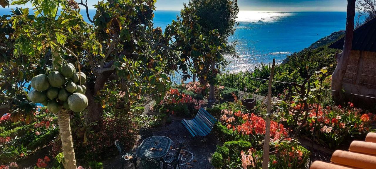 Villa Torre Bella Gardens Arco da Calheta  Exterior foto