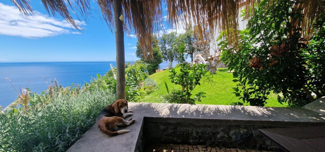 Villa Torre Bella Gardens Arco da Calheta  Exterior foto