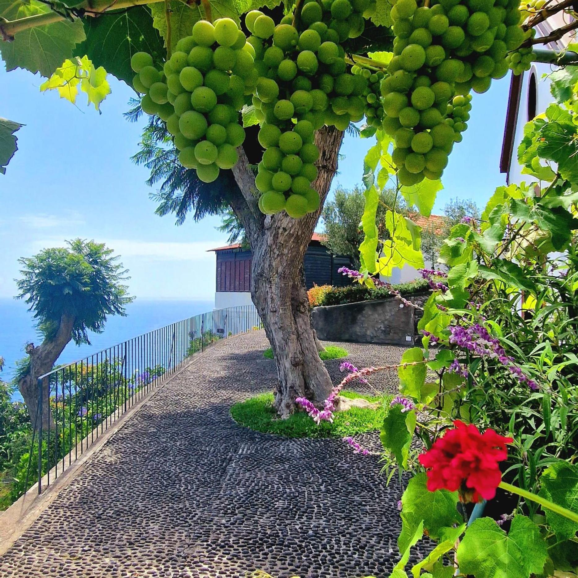 Villa Torre Bella Gardens Arco da Calheta  Exterior foto